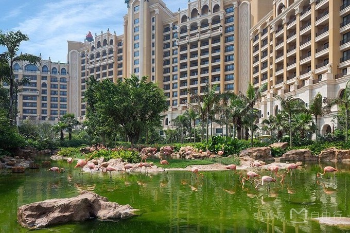 长隆度假区有哪些景点,珠海长隆度假区旅游攻略