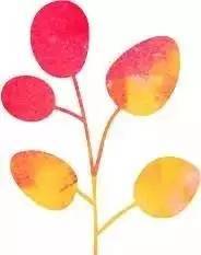 「红棉·长河」三棵古树牵出的百年铁路