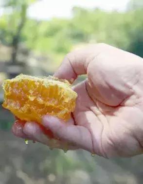 去珠海长隆海洋王国一日游,珠海长隆海洋王国玩3天攻略