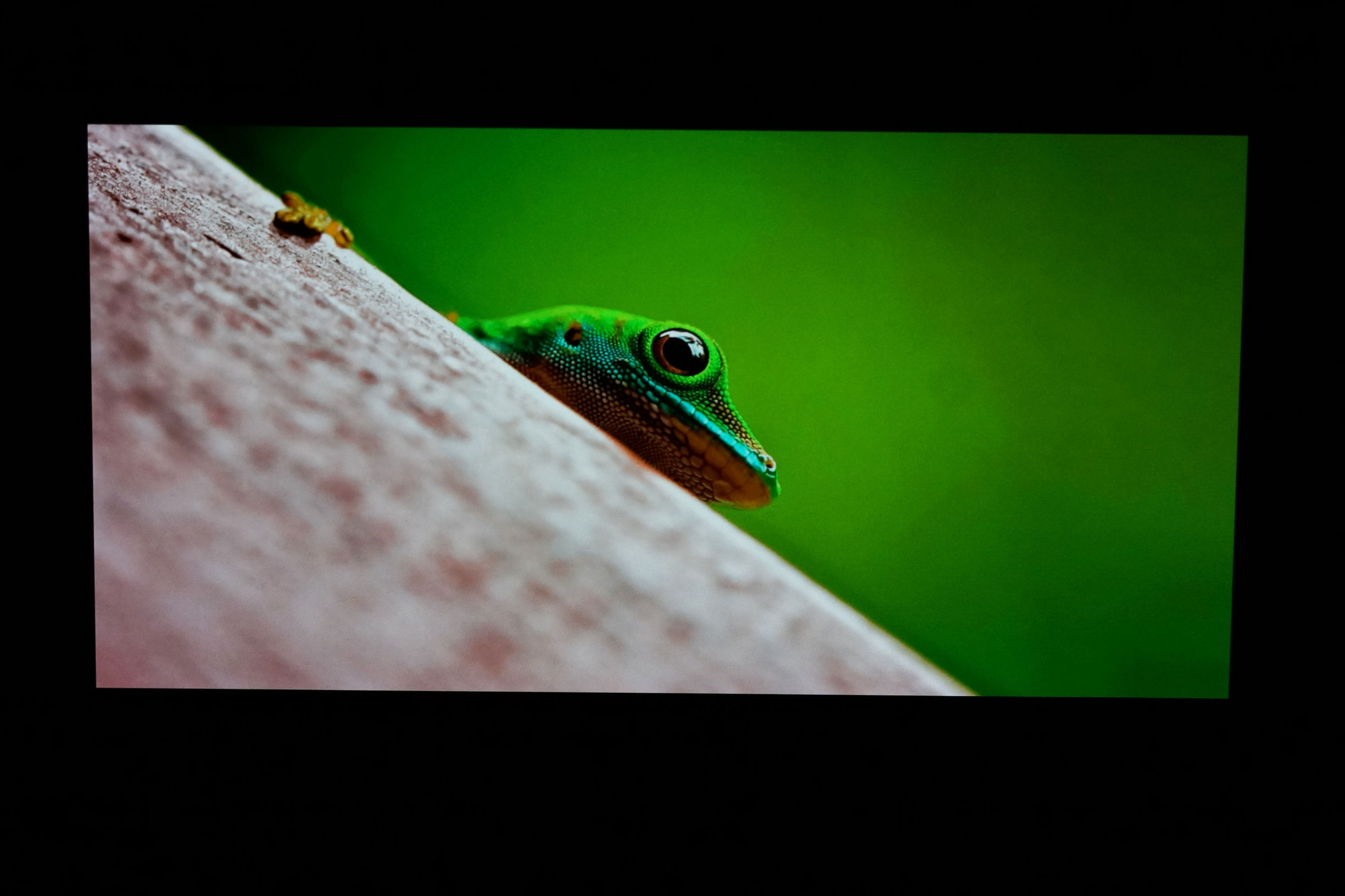 金立m7评测完整版,金立m7测评