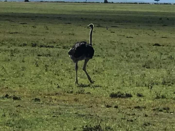 曾哥美国视频,曾哥美国