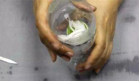 懒人自动吸水瓶养花,塑料瓶懒人花盆自动吸水