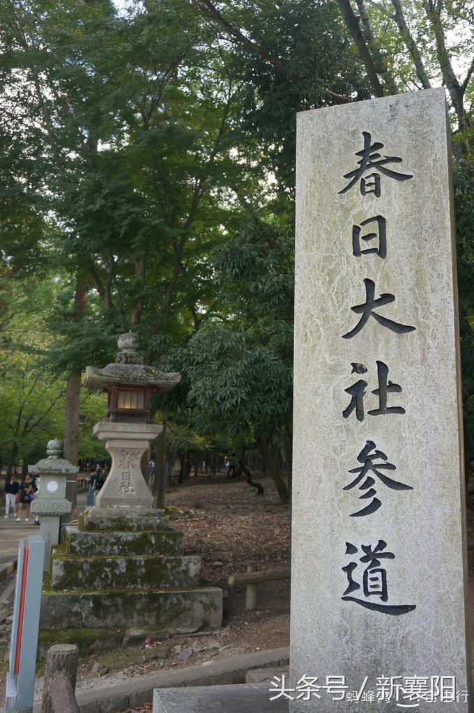 带娃去日本一周自由行,带四岁孩子去日本穷游攻略