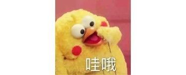 gucci全部插画,gucci法国插画