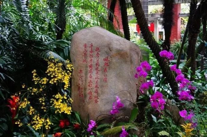 美得不像样子！广州秋季“花潮”来袭，你最想和谁一起看