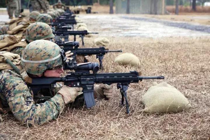 HK系列成为全球标杆？德国国防军正式采购HK416