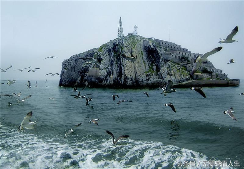 江苏省连云港灌云县有几个区,连云港灌云县有几个乡镇