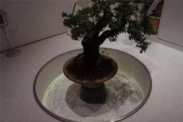 成都最好吃最豪华的甜品店,成都仅此一家的网红甜品店