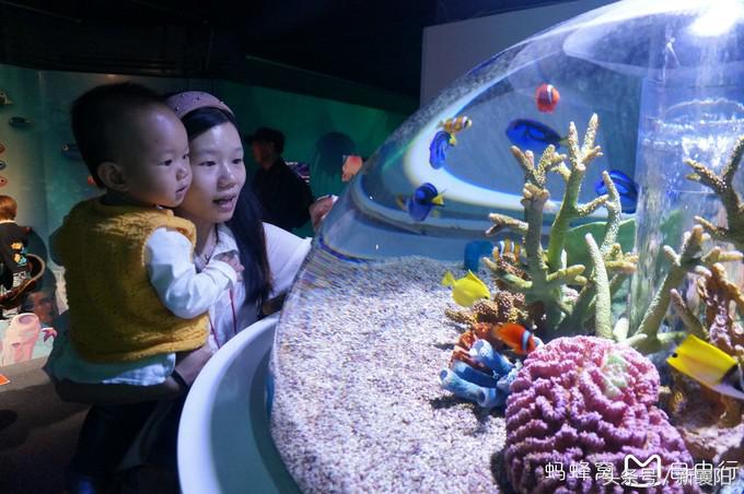 带娃去日本一周自由行,带四岁孩子去日本穷游攻略