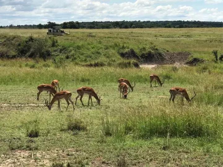 曾哥美国视频,曾哥美国