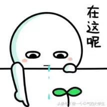 网申offer教程,如何提高自己的网申