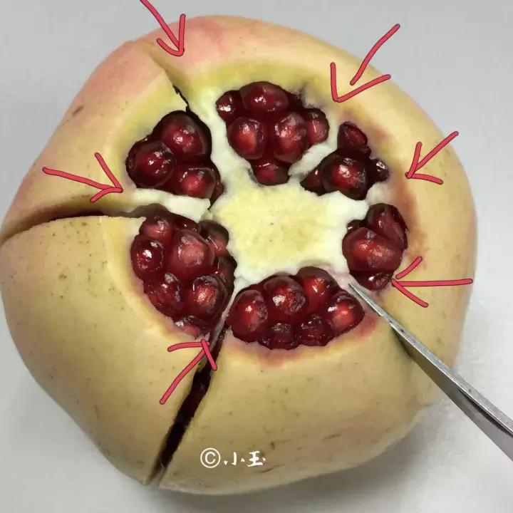 剥石榴用这个方法简单又实用哦,剥石榴的技巧简单实用你学会了吗