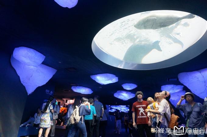 带娃去日本一周自由行,带四岁孩子去日本穷游攻略