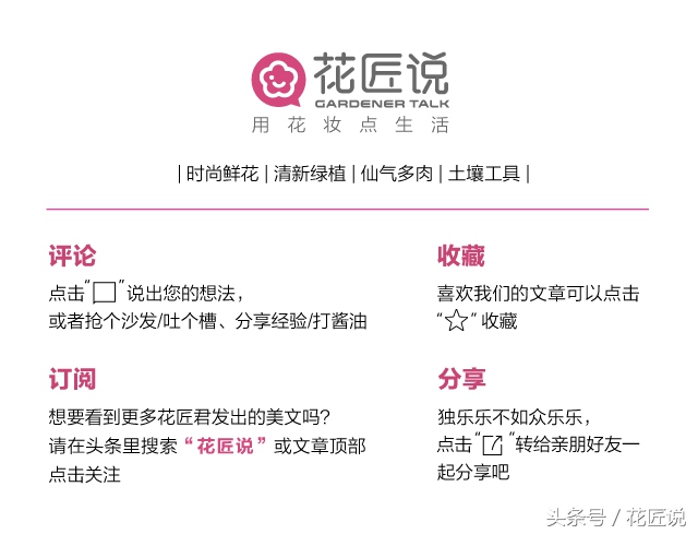 炎炎夏日来赏荷花,夏天听蝉鸣池边赏荷花