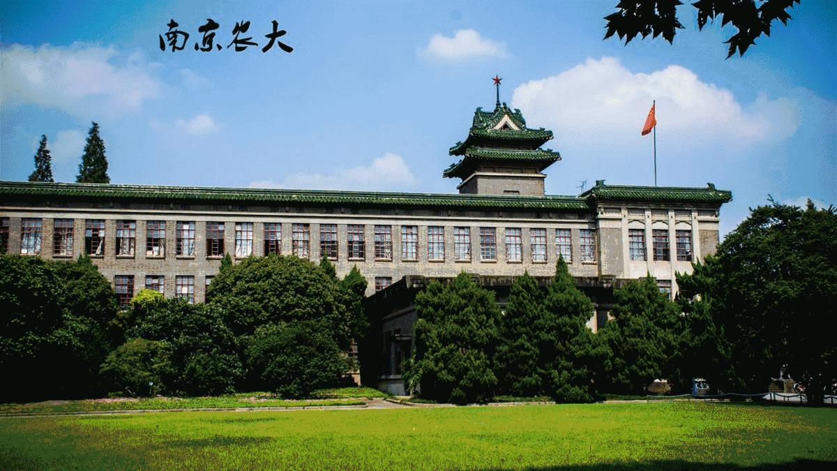 1949-2019南京变化,2011-2012年南京