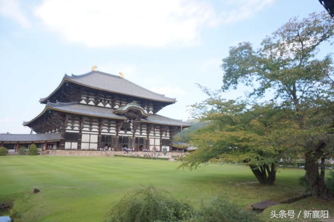 带娃去日本一周自由行,带四岁孩子去日本穷游攻略