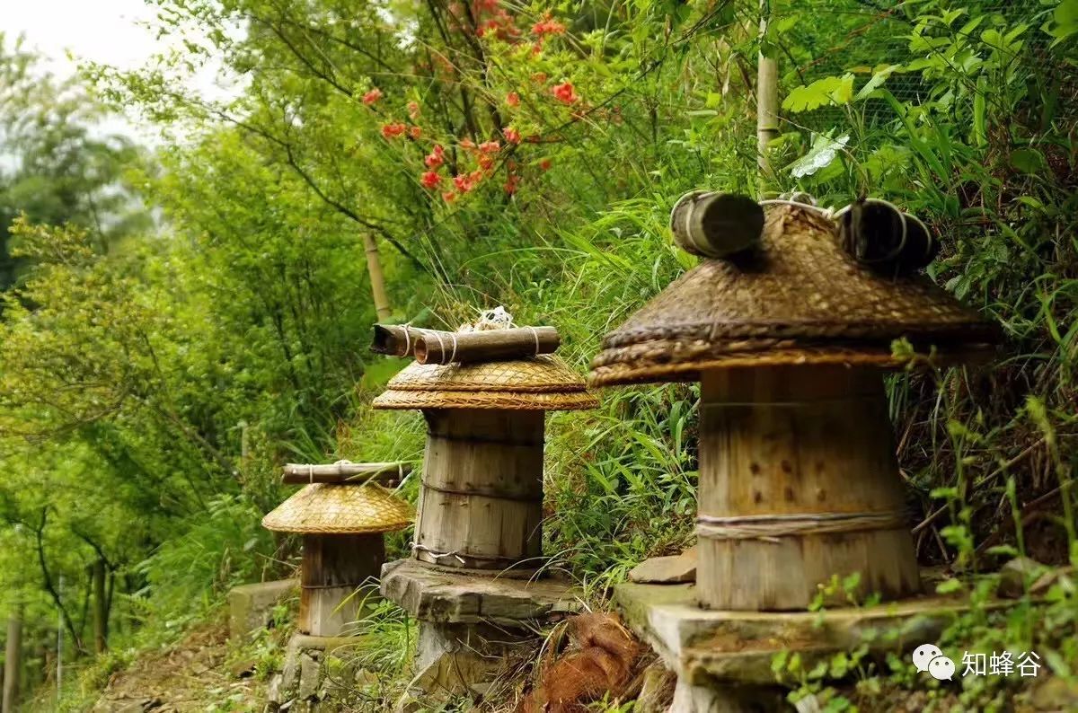 鍐滃铚傝湝娑﹁偤姝㈠挸,瀹㈠姝㈠挸铚傝湝