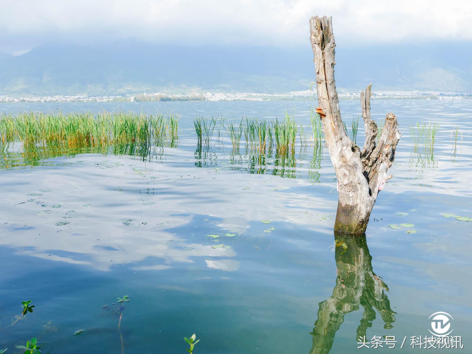 松下gh5连接大疆稳定器,松下gh5虚化