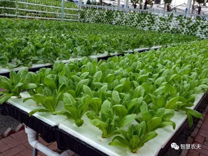 无土栽培营养液配方表,无土栽培技术视频大全