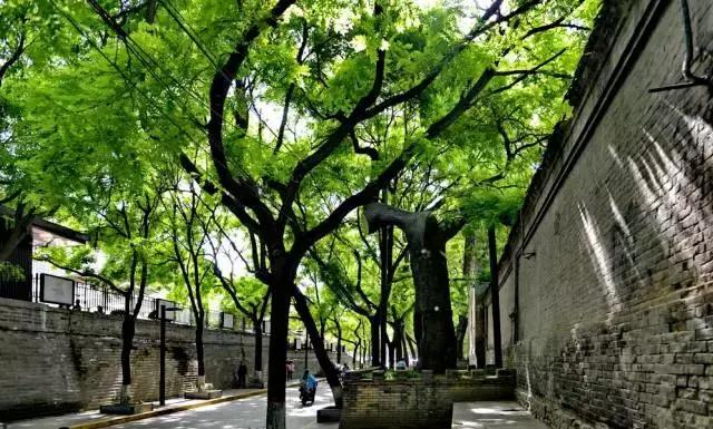 巷尾老爷爷卖的文房四宝，味道弥漫过旧旧的后院