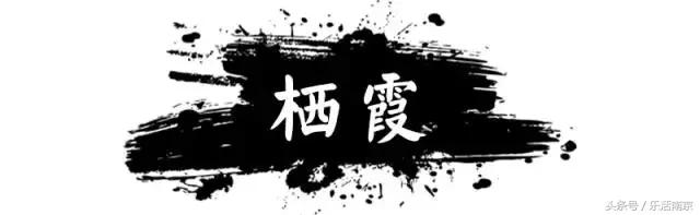 1949-2019南京变化,2011-2012年南京