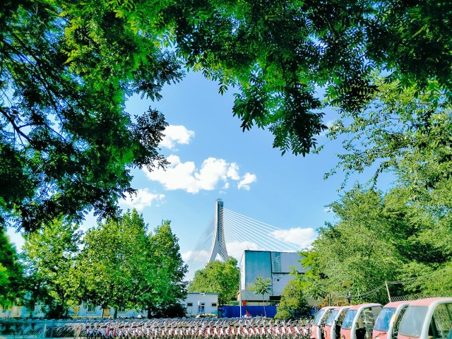 眼前所见皆是风景,走过的都是风景留下的都是故事