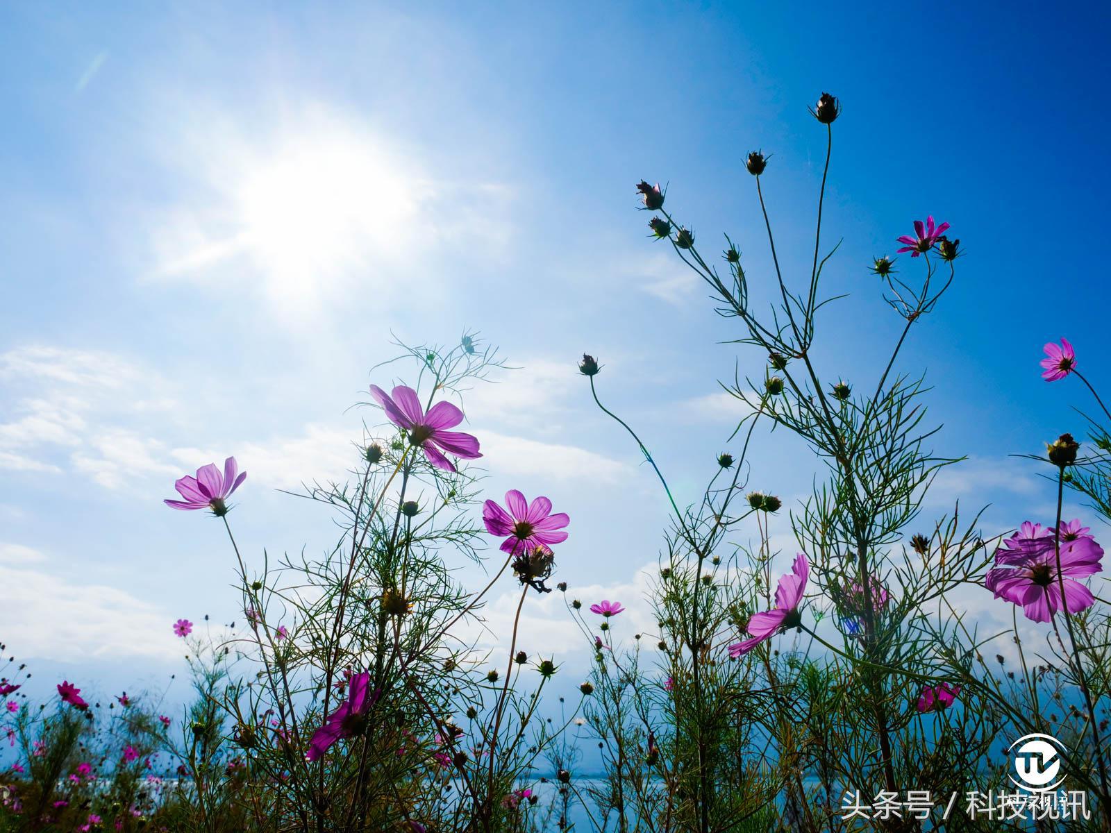 松下gh5连接大疆稳定器,松下gh5虚化