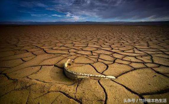 用纸，我们有什么理由改变你的习惯？