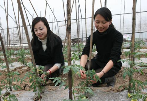 福利参照公务员，年终奖3万，大学生村官待遇其实不低！