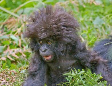 和老婆喝酒的幽默段子,老婆一个人在家幽默段子