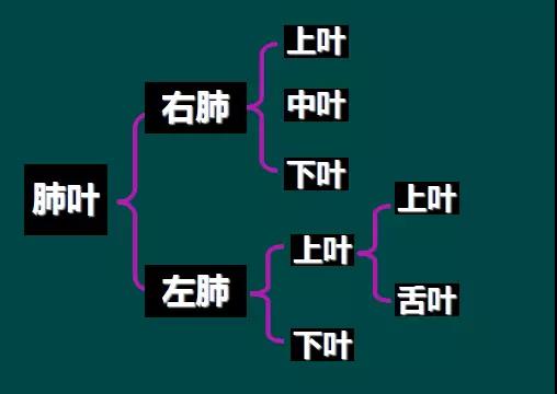 读完该文，让你学会如何看胸片