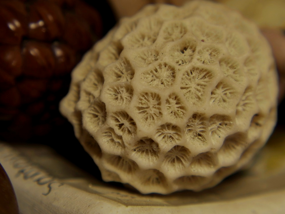 小蚁微单m1值不值得买,小蚁微单m1拍竖构图怎么全屏