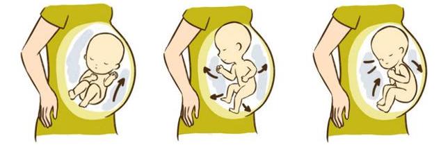 孕妈在睡觉的时候胎儿在干什么,孕妇睡觉胎儿也会睡觉吗