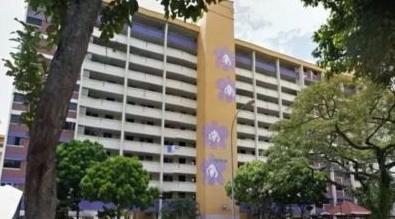 新加坡组屋装修攻略,新式组屋设计图