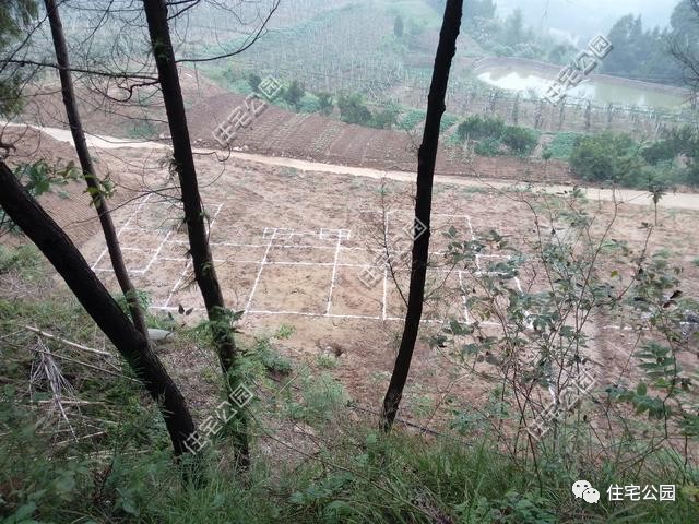 中国真实农村现代别墅,成都农村中式别墅建造