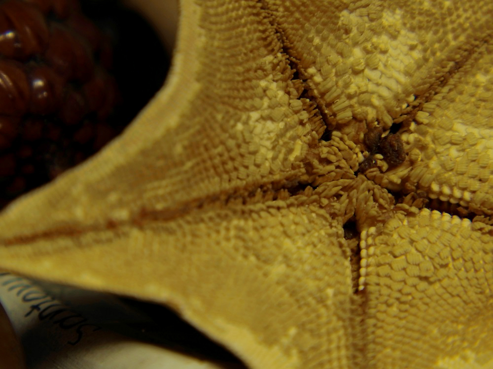 小蚁微单m1值不值得买,小蚁微单m1拍竖构图怎么全屏