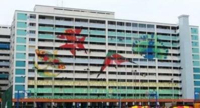 新加坡组屋装修攻略,新式组屋设计图