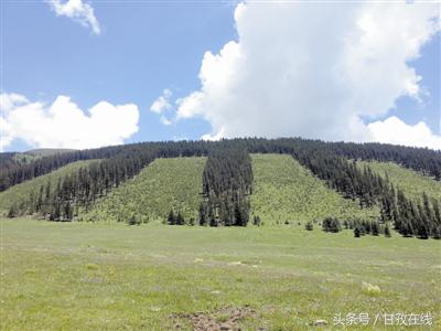 大美甘孜山清水秀好风光,美丽甘孜惊艳视频