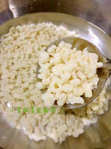 小时候吃过蝌蚪,小时候的蝌蚪都吃什么