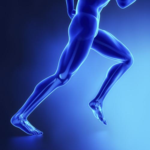 核桃油真的有网上说的那么好吗,核桃油到底有没有必要