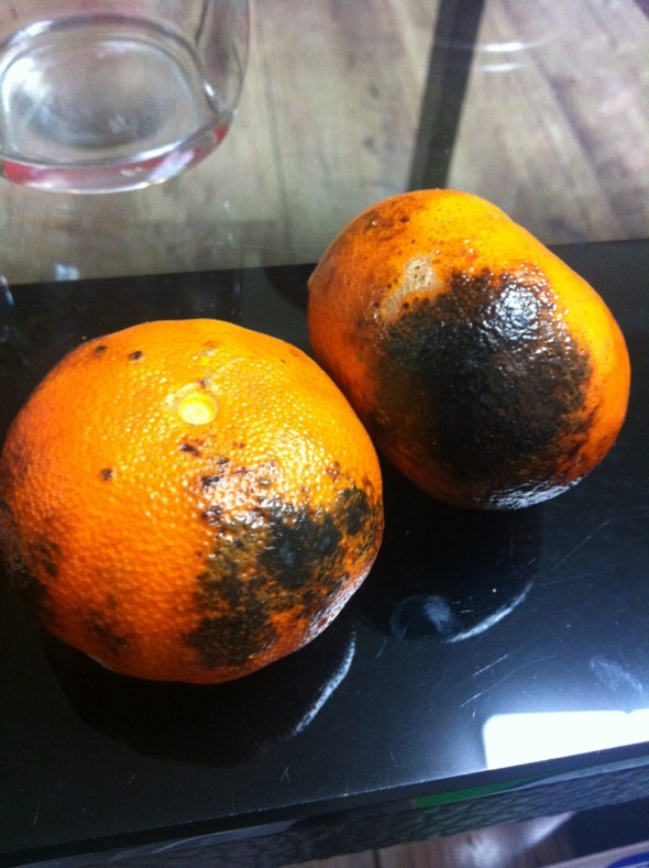 烤橘子治咳嗽最有效的方法中医,中医烤橘子治咳嗽正确做法