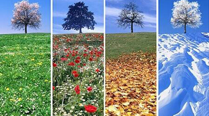 脸上和脖子上反复长痘痘什么原因,脸上反复长痘痘的原因和解决方法