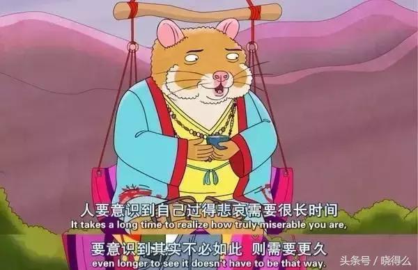 我宁愿用自己挣的钱多买几只YSL口红，也不愿省钱付首付还*款贷**