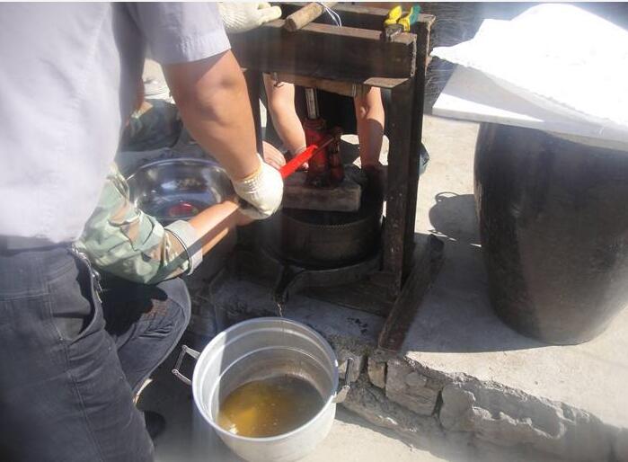 核桃油真的有网上说的那么好吗,核桃油到底有没有必要