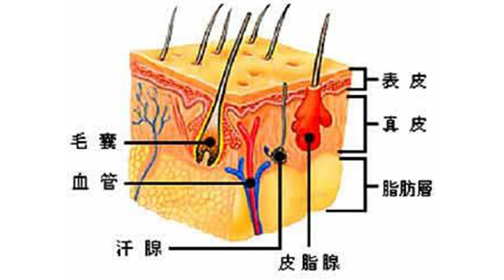 脸上和脖子上反复长痘痘什么原因,脸上反复长痘痘的原因和解决方法