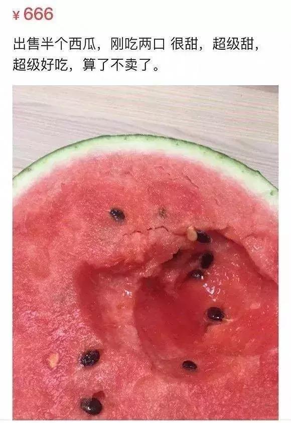 闲鱼上的奇葩东西整顿,闲鱼上的那些不可思议的东西