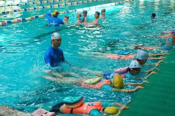 买天津学区房真的有必要吗,天津买学区房城六区哪个可以入手