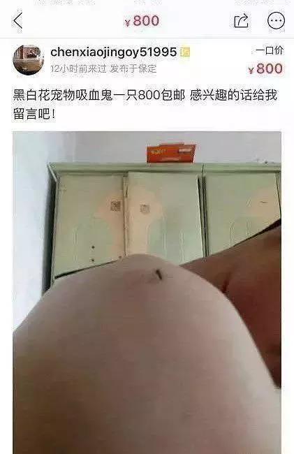 闲鱼上的奇葩东西整顿,闲鱼上的那些不可思议的东西