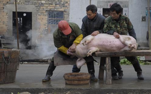 100个小成本适合农村创业的小方法,55到65岁在农村能创业什么项目