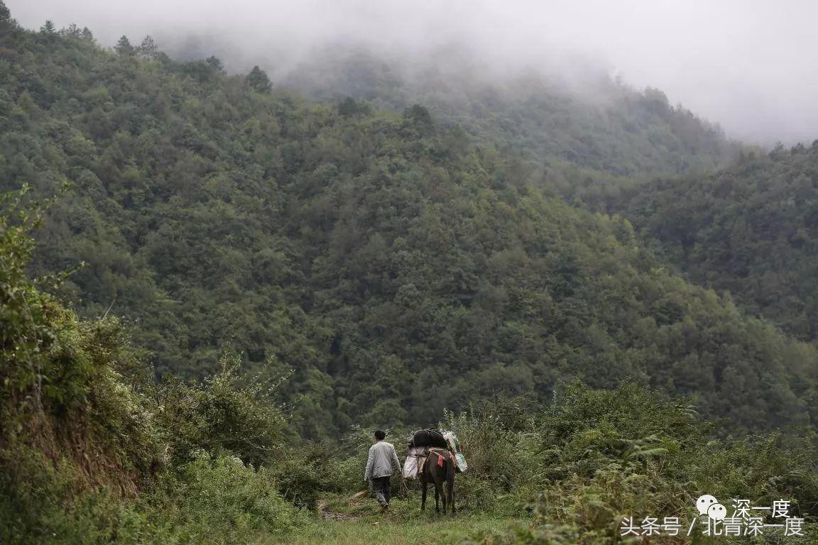 「看见」泥坑里的“鹿晗”和吃土豆的孩子：80张图，读懂中国脱贫